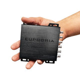 EUPHORIA EDSP31-24BT