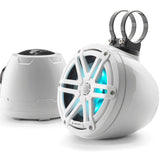 JL AUDIO M3-650VEX-GW-S-GW-I