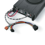 FOCAL IBUS 2.1
