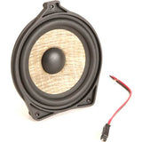 FOCAL ICC MBZ 100